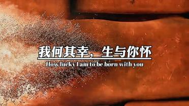 数数救伙伴